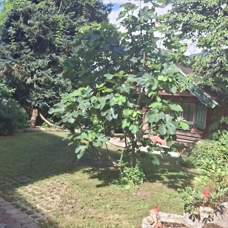 Willa Ganzes Haus Mit Almcharakter Lieserbrücke Zewnętrze zdjęcie