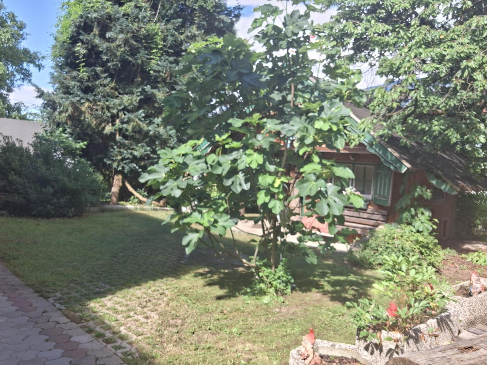 Willa Ganzes Haus Mit Almcharakter Lieserbrücke Zewnętrze zdjęcie